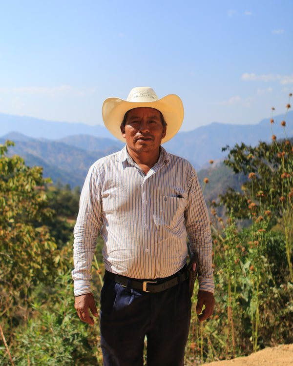 Mauricio Bravo