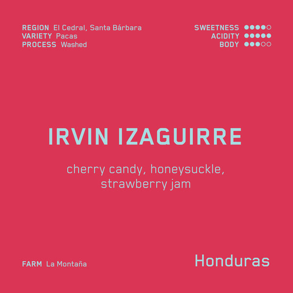 Irvin Izaguirre (WS)