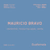 Mauricio Bravo