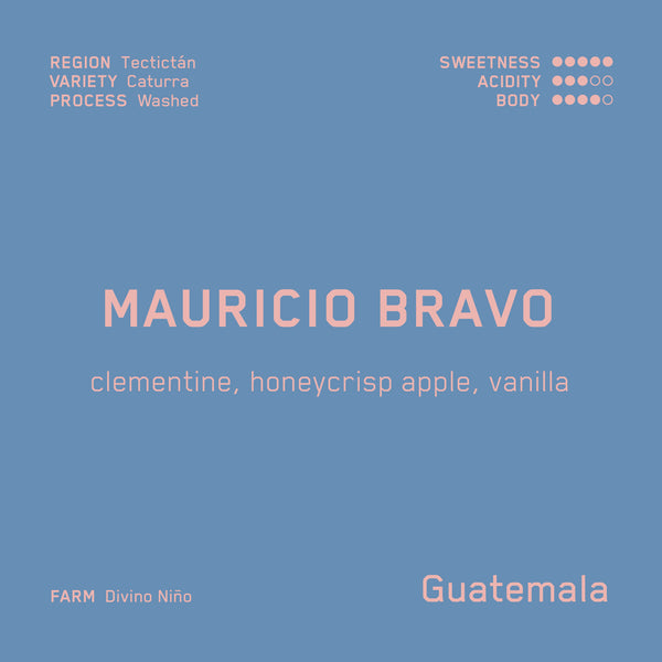 Mauricio Bravo